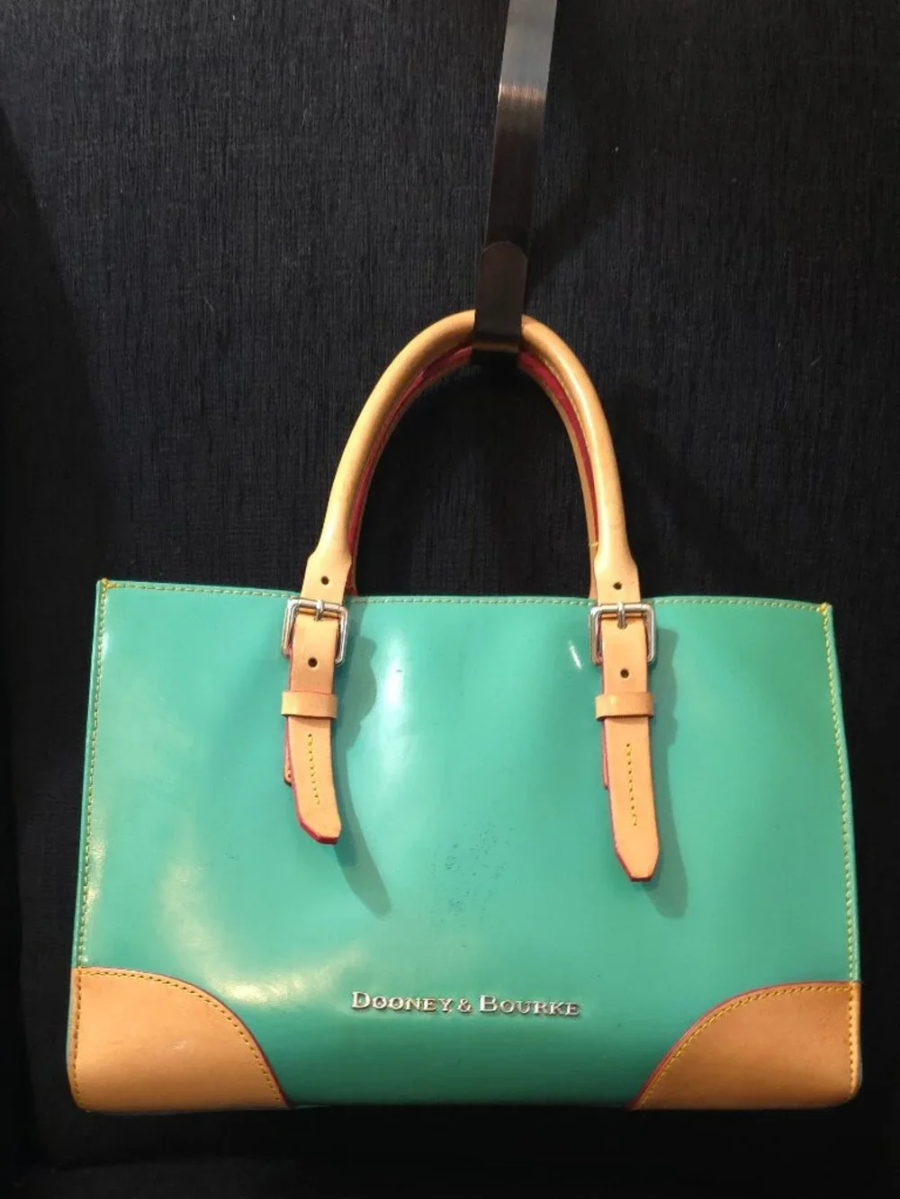 Dooney & Bourke Janine Ocean Teal Patent Leather Satchel